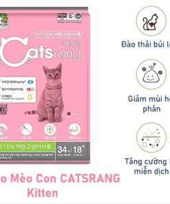 Hạt Catsrang Kitten 1.5kg