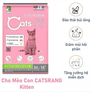 Hạt Catsrang Kitten 1.5kg