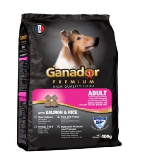 Hạt Ganador Aldult Premium cá hồi và gạo 400gr