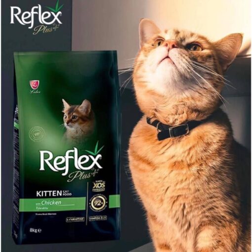 Hạt Reflex Plus Kitten (1.5Kg)