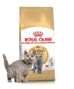 Hạt Royal Canin Adult Short Hair (2kg)