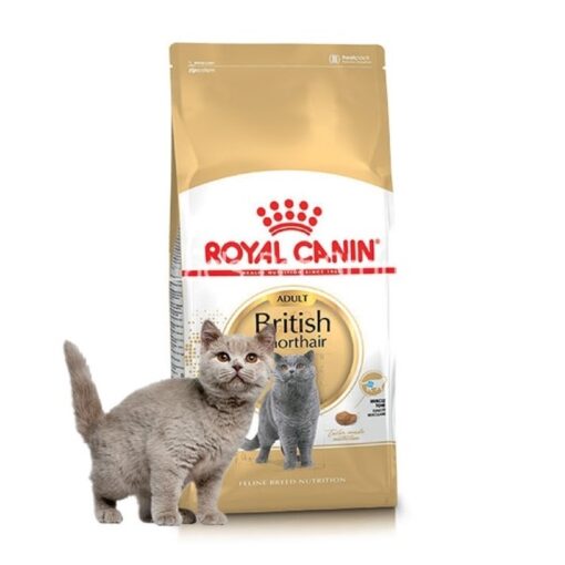 Hạt Royal Canin Adult Short Hair (2kg)