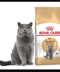 Hạt Royal Canin Adult Short Hair (2kg)