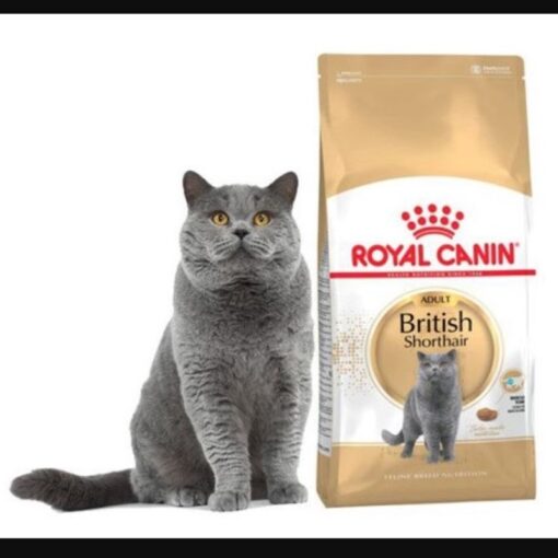 Hạt Royal Canin Adult Short Hair (2kg)