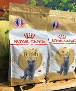 Hạt Royal Canin Adult Short Hair