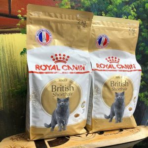 Hạt Royal Canin Adult Short Hair 