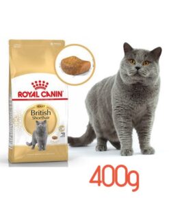 Hạt Royal Canin Adult Short Hair (400gr)