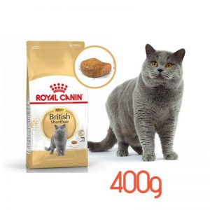 Hạt Royal Canin Adult Short Hair (400gr)