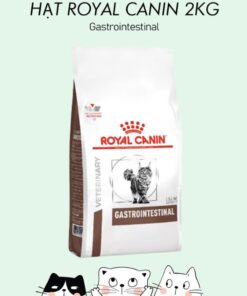 Hạt Royal Canin Gastrointestinal (2Kg)