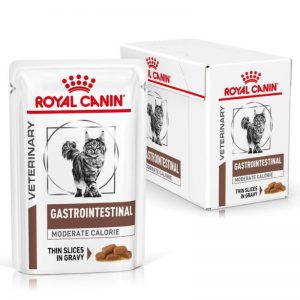 Hạt Royal Canin Gastrointestinal (2Kg)