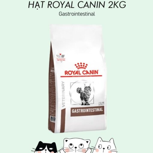 Hạt Royal Canin Gastrointestinal (2Kg)