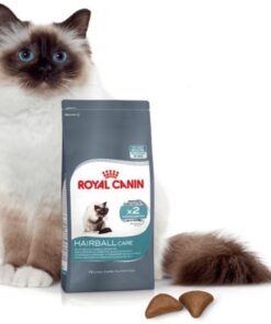 Hạt Royal Canin Hairball (2Kg)