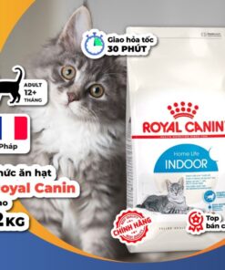 Hạt Royal Canin Indoor (2kg)