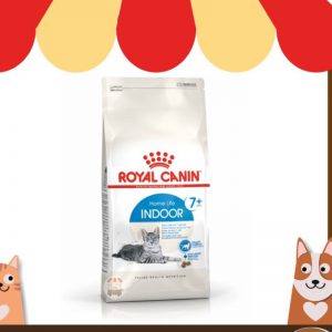 Hạt Royal Canin Indoor 