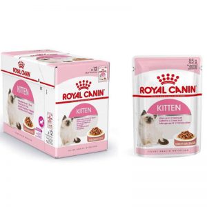 Hạt Royal Canin Kitten 4 – 12 Tháng Tuổi 