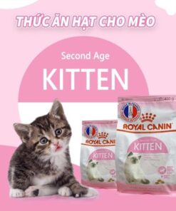 hạt Royal Canin Kitten And Mother (2Kg)