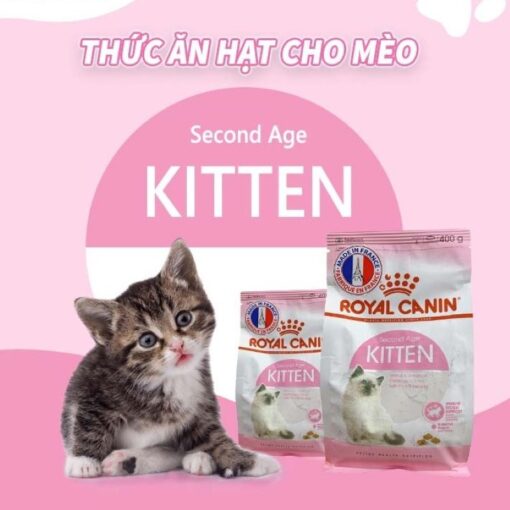 hạt Royal Canin Kitten And Mother (2Kg)