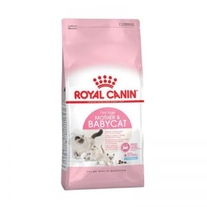 hạt Royal Canin Kitten And Mother (2Kg)