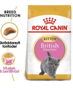 Hạt Royal Canin Kitten Short Hair (400gr)