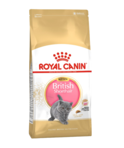 Hạt Royal Canin Kitten Short Hair (400gr)