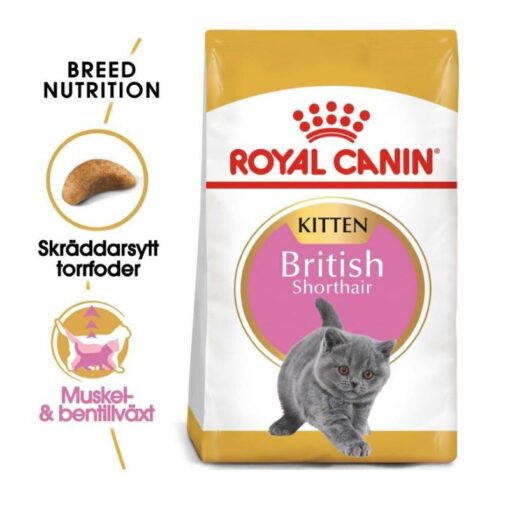 Hạt Royal Canin Kitten Short Hair (400gr)