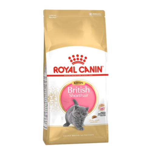 Hạt Royal Canin Kitten Short Hair (400gr)