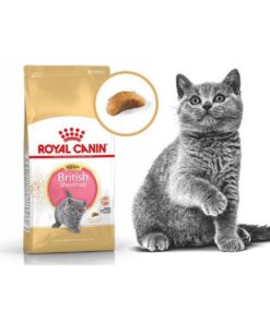 Hạt Royal Canin Kitten Short Hair (400gr)