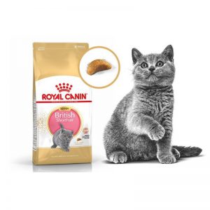 Hạt Royal Canin Kitten Short Hair (400gr)