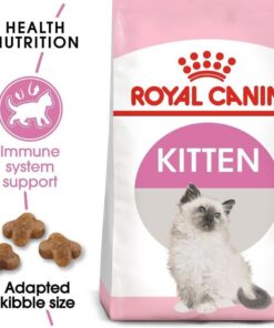 Hạt Royal Canin Kitten 4 – 12 tháng tuổi