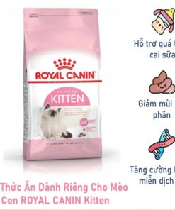 Hạt Royal Canin Kitten 4 – 12 tháng tuổi (400gr)