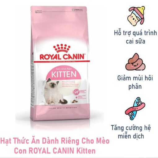 Hạt Royal Canin Kitten 4 – 12 tháng tuổi (400gr)