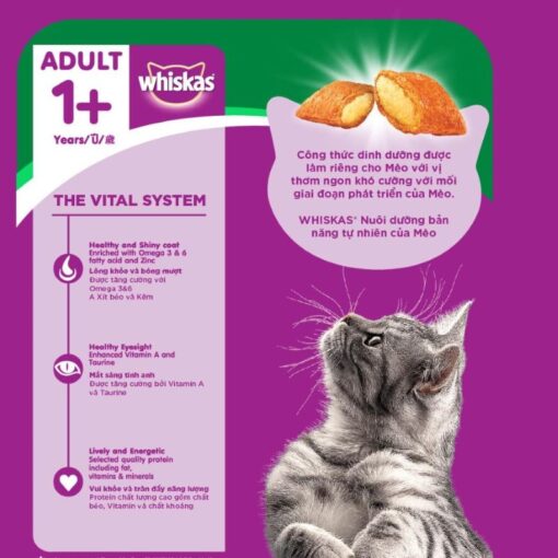 Hạt Whiskas Adult (1.2kg)