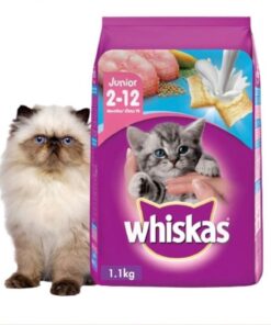 Hạt Whiskas Junior (2-12th) 1Kg