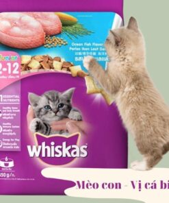 Hạt Whiskas Junior (2-12th) 1Kg