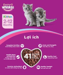 Pate Whiskas Junior (2-12th)