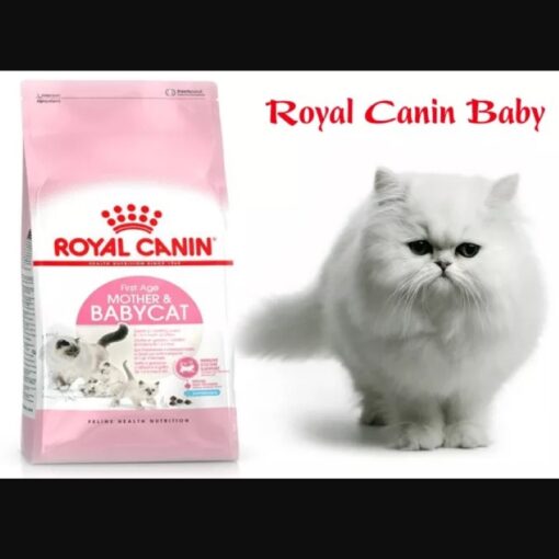 hạt Royal Canin Kitten And Mother