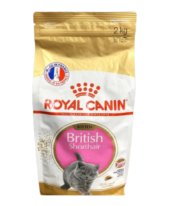 Hạt Royal Canin Kitten Short Hair (2kg)