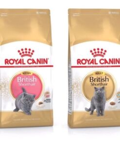 Royal Canin Kitten Short Hair (400gr)