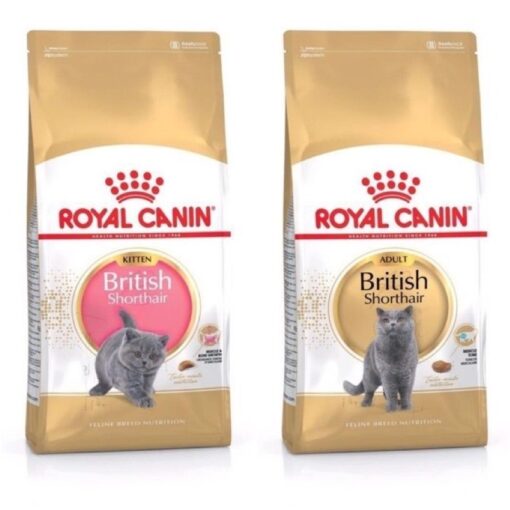 Royal Canin Kitten Short Hair (400gr)