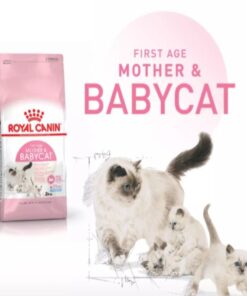 Hạt Royal canin Kitten and mother 400gr