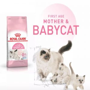 Hạt Royal canin Kitten and mother 400gr