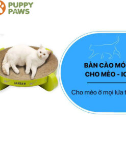 Bàn Cào Móng Cho Mèo Màu Xanh Chuối – ICLE