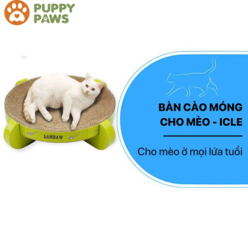 Bàn Cào Móng Cho Mèo Màu Xanh Chuối – ICLE