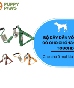 Bộ dây dẫn vòng cổ cho chó 13mm 5 màu – TOUCHDOG