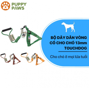 Bộ dây dẫn vòng cổ cho chó 13mm 5 màu – TOUCHDOG