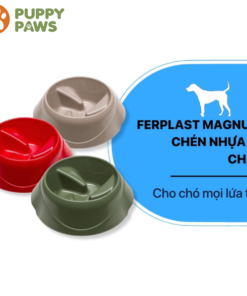 Chén nhựa ăn chậm - Ferplast Magnus