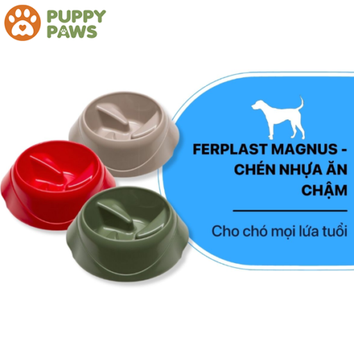 Chén nhựa ăn chậm - Ferplast Magnus