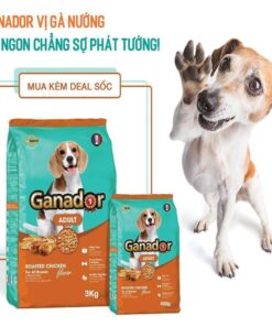 Hạt Ganador Adult Chicken 400gr