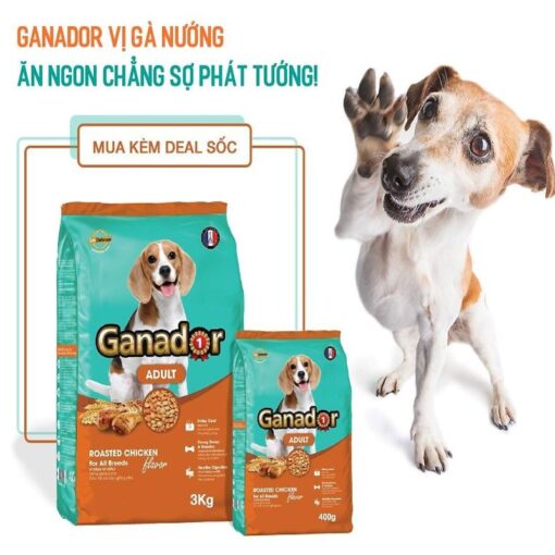 Hạt Ganador Adult Chicken 400gr