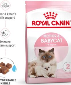 hạt Royal Canin Kitten And Mother (2Kg)